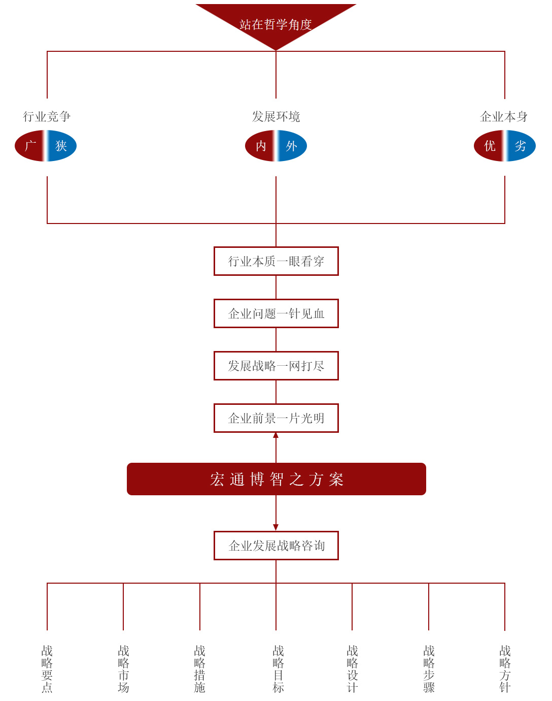 宏通博智总体战略解决方案及步骤